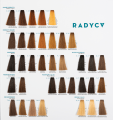 Ktime - New_Radyca_Semieconomica (3)-3.png