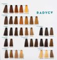 Ktime - Karta New_Radyca[1].pdf economic_pages-to-jpg-0003.jpg