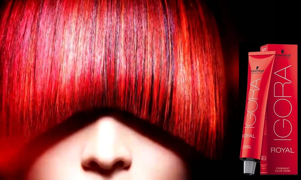 IGORA Royal - prawdziwy kolor najwyższej jakości